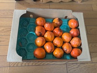 せっかちな二人がやらかした“秋の事件”とは？